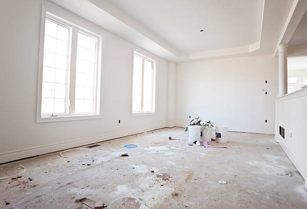 Best Mold Damage Restoration  in USA